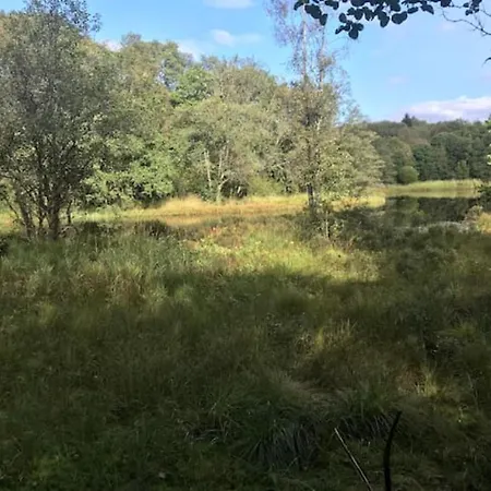 Lilletveitvegen Apartament Bergen