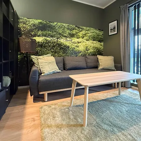 Lilletveitvegen Daire *